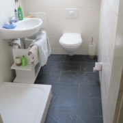 Beseitigung eines Wasserschaden in einer Dachgeschoss-Wohnung